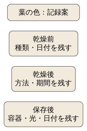 独自の撮影記録案。乾燥前は種類と日付、乾燥後は方法と期間、保存後は容器と光と日付を残す。実際の葉の写真や測定結果ではない。